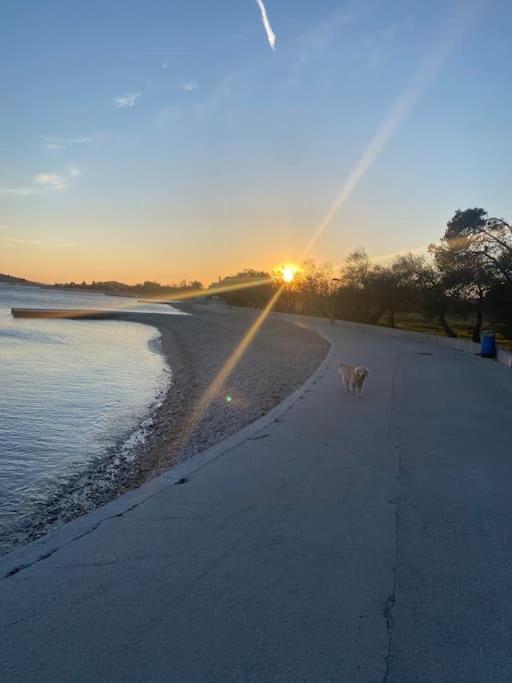 Apartamento Prostorný domov v nejkrásnější části Chorvatska Vodice Exterior foto